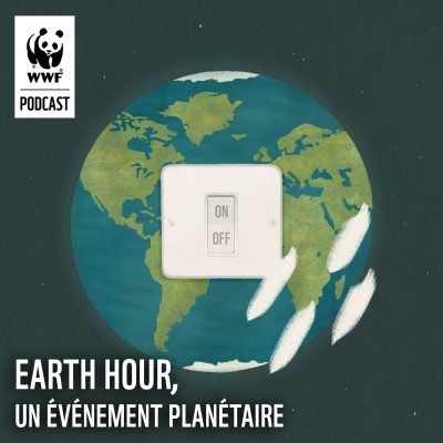 Affiche événement de l'Earth Hour