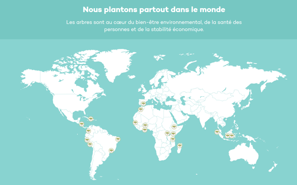 Carte arbre ecosia