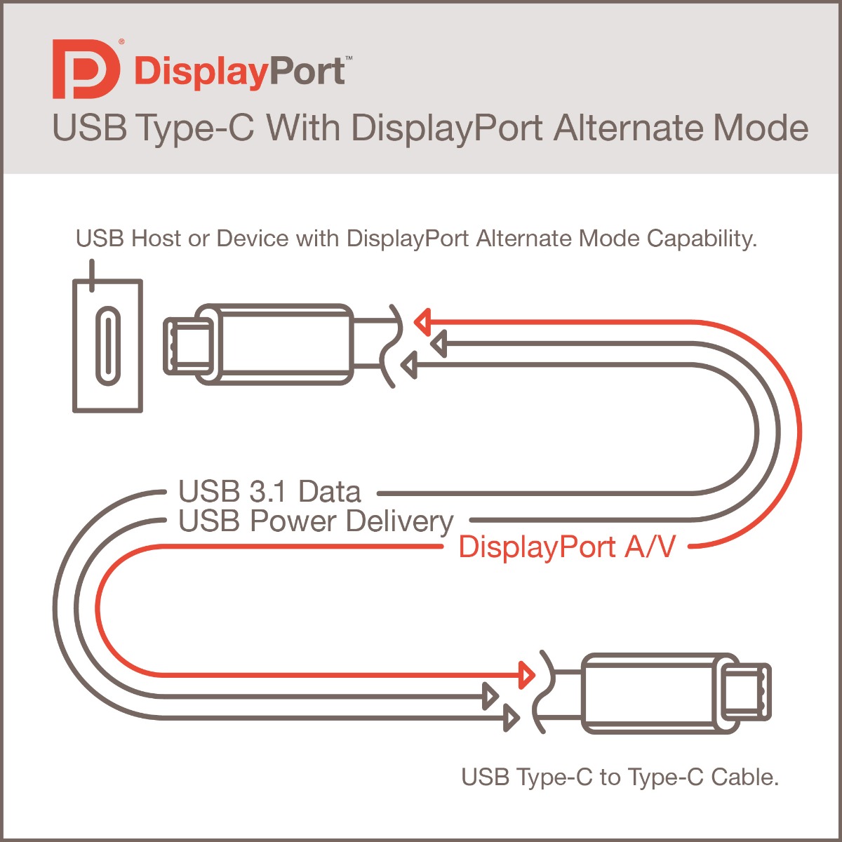 Display port