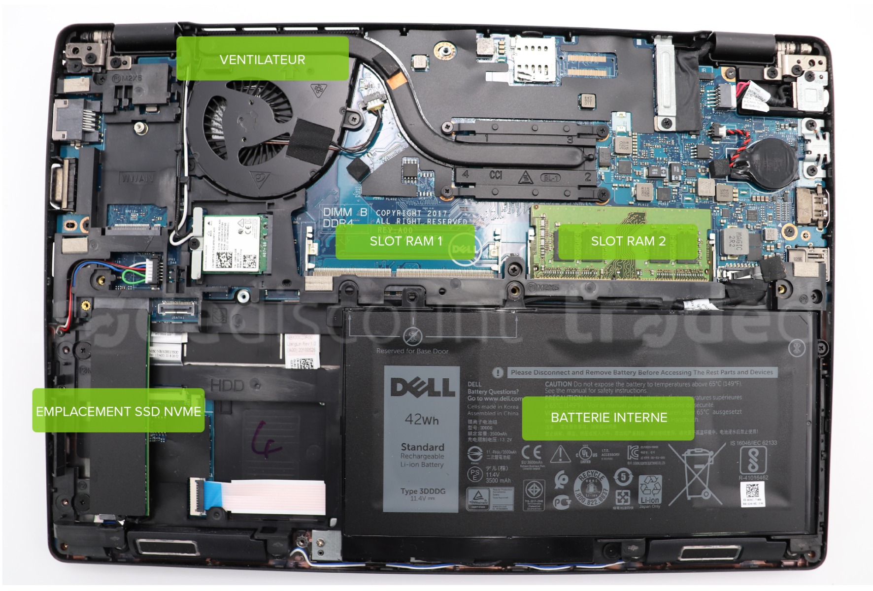 Agencement interne du Dell Latitude 5290