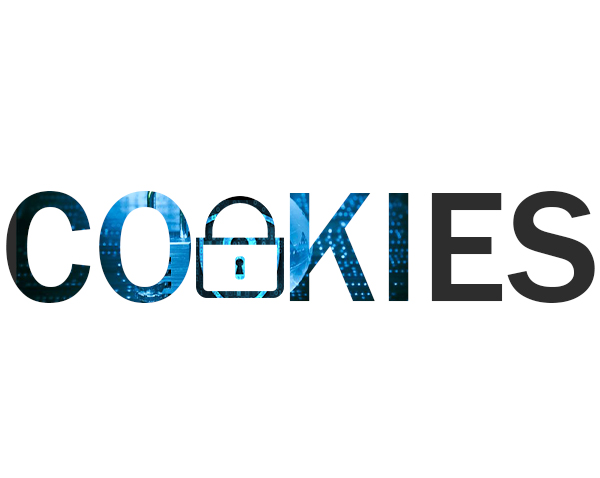 Les cookies : protection des données & vie privée