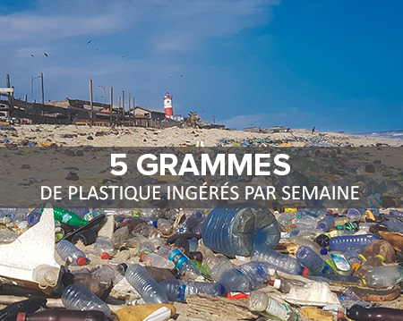 Nous ingérons en moyenne 5 grammes de plastique par semaine