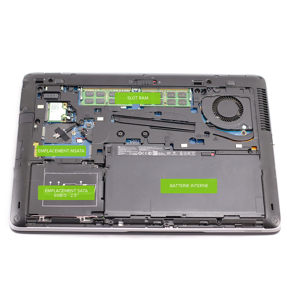 Vue interne composants du HP EliteBook 840 G1